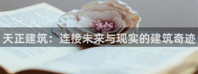 阜新航空娱乐