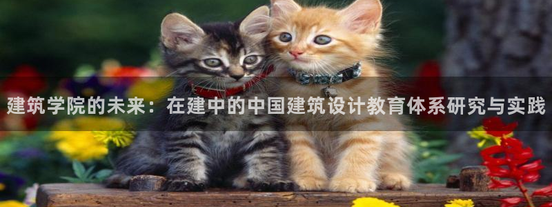新航娱乐近期演出活动