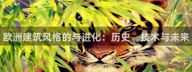 中国新航娱乐官网入口