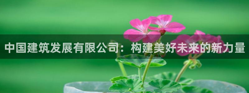 新航文化娱乐传媒怎么样
