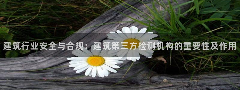 新航娱乐最新消息：建筑行业安全与合规：建筑第三方检测机构的重要性及作用