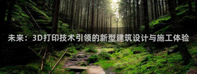 新航娱乐入网要求：未来：3D打印技术引领的新型建筑设计与施工体验