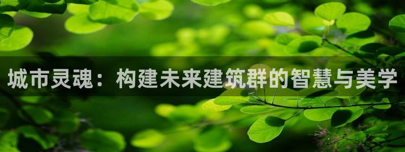 新航娱乐黑