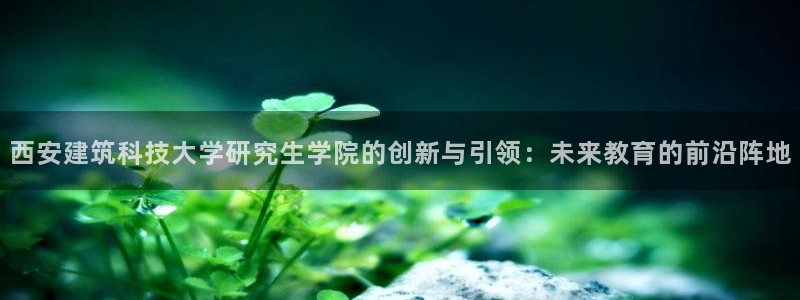 新航娱乐被国家认可吗