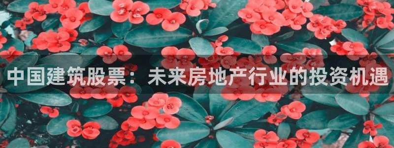新航娱乐最高返点多少