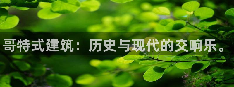 新航娱乐官方