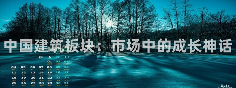 新航娱乐公司简介图片