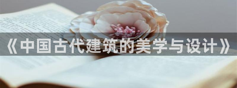 兰山新航线娱乐