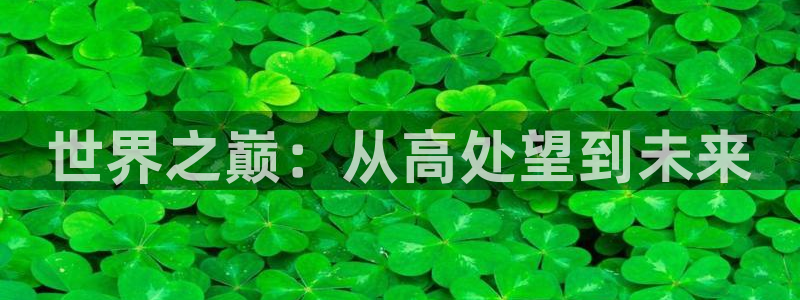 新航文化娱乐传媒招聘