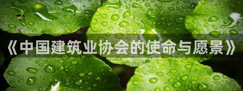 新航娱乐app下载安卓：《中国建筑业协会的使命与愿景》