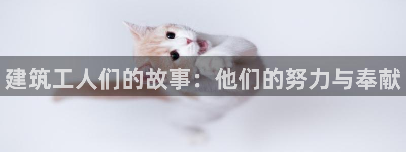 新航新客舱机上娱乐银
