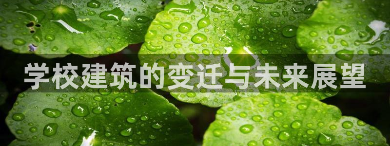 新航机上娱乐