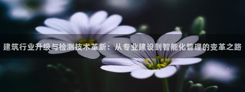 新航娱乐app下载安装
