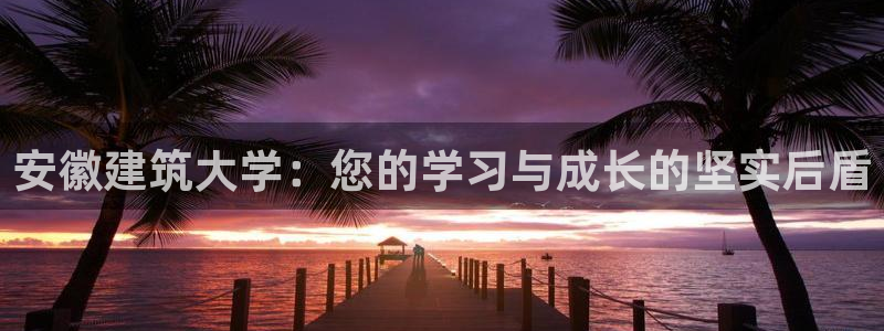 开启娱乐新航线