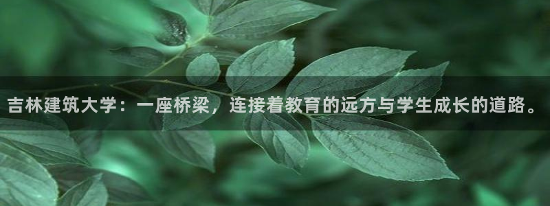 新航娱乐有限公司怎么样