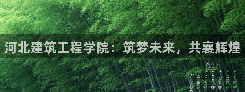 娱乐新航线