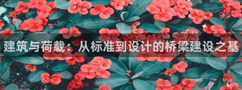 新航娱乐被国家认可吗