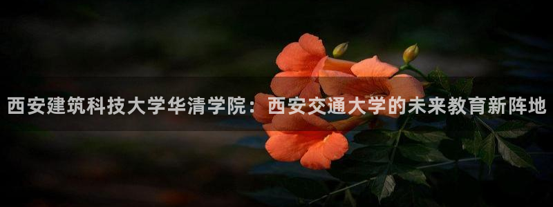 新航娱乐怎么样