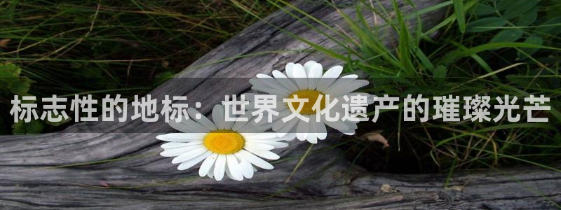 高州新航线娱乐俱乐部