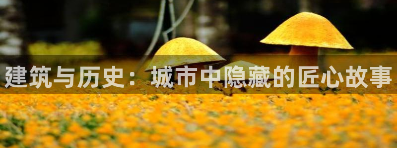 新航娱乐招商Q