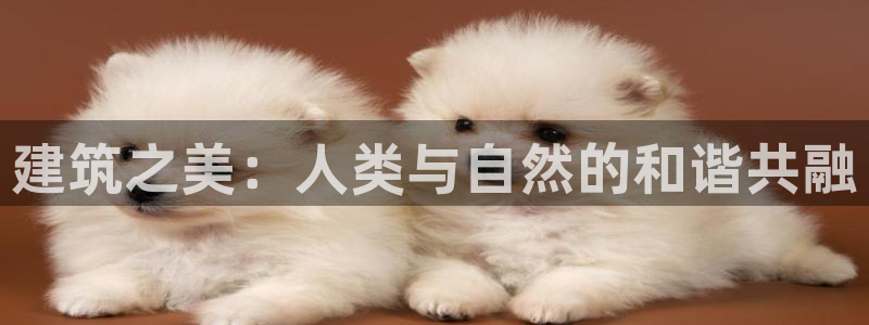 中国新航娱乐平台官网