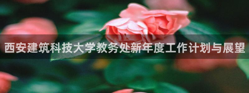 新航娱乐公司艺人招聘