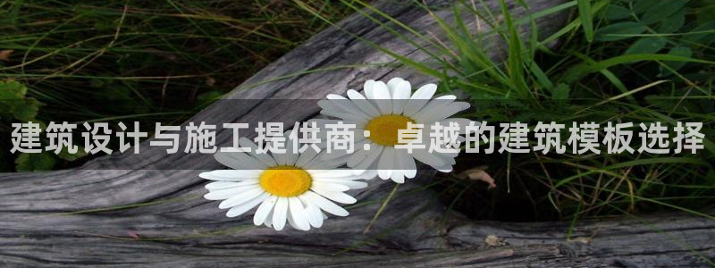 新航娱乐公司简介资料