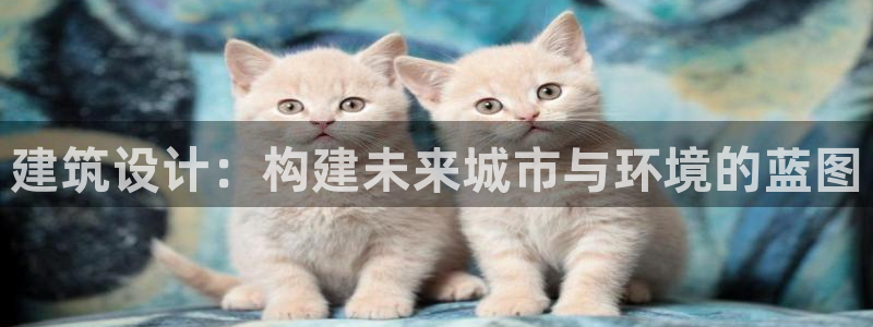 新航娱乐传媒招聘