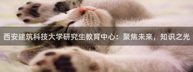 新航娱乐公司招聘电话