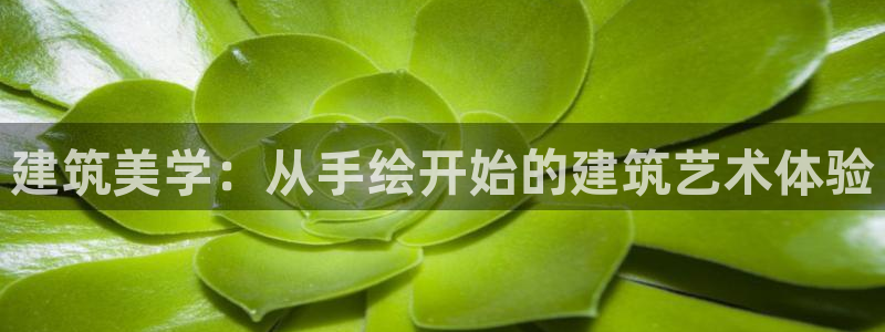 成都中创新航娱乐区