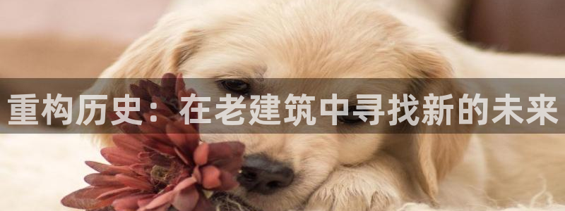 新航娱乐下载安装