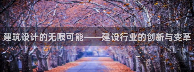 新航娱乐有限公司