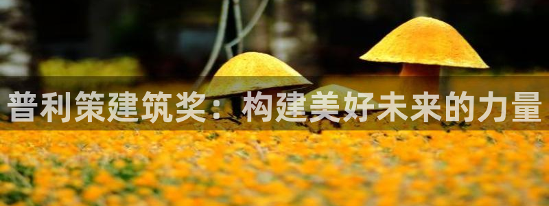 新航娱乐公司招聘