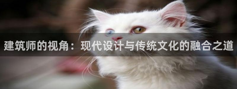 新航娱乐平台注册