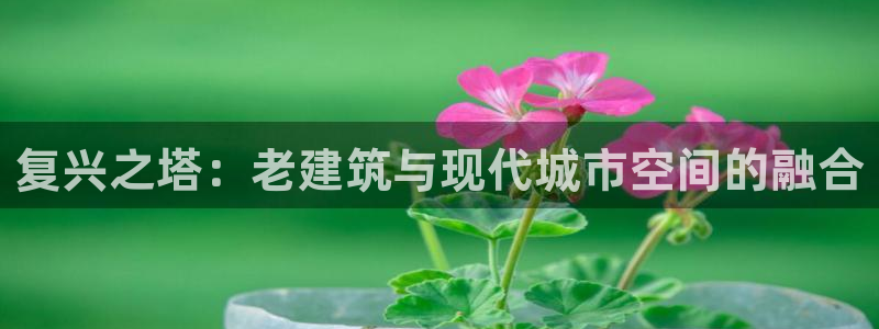 新航娱乐官网登录