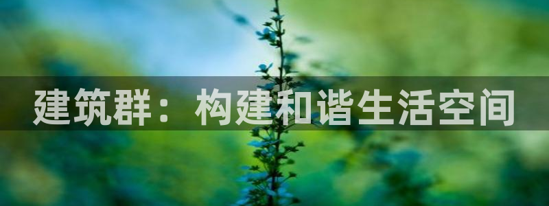 新航娱乐的创始人背景