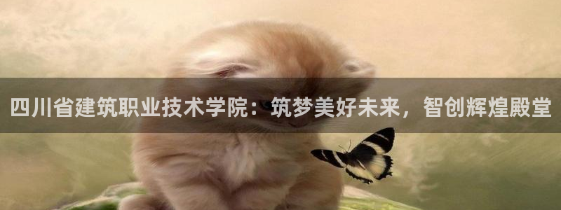 新航娱乐app官方下载