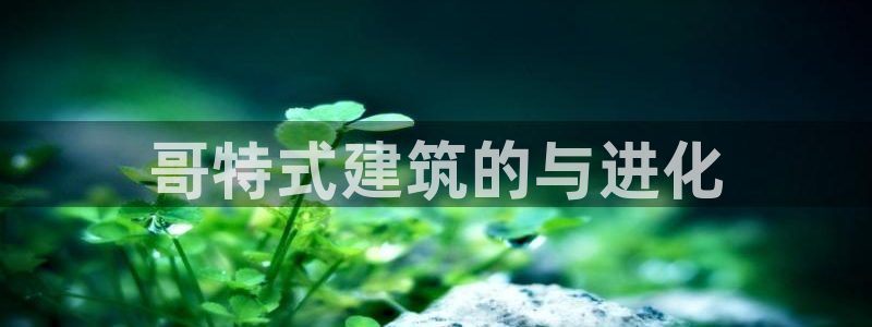 新航娱乐公司地址