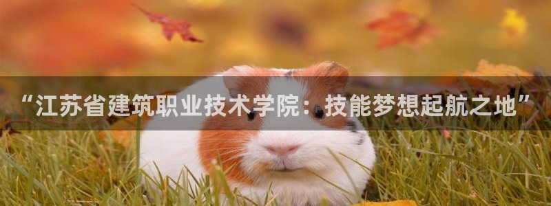 新航娱乐主管是谁