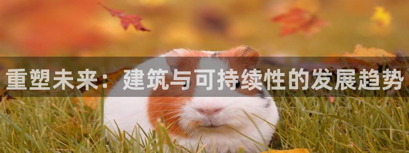 新航路开辟中的娱乐