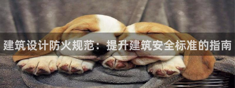 新航娱乐近期演出活动