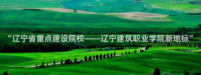 新航娱乐公司旗下艺人