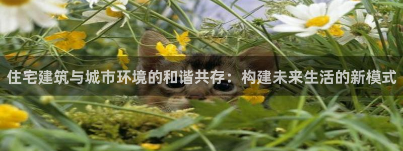 新航娱乐近期演出活动