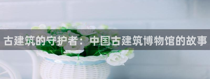 新航娱乐有方法开挂吗