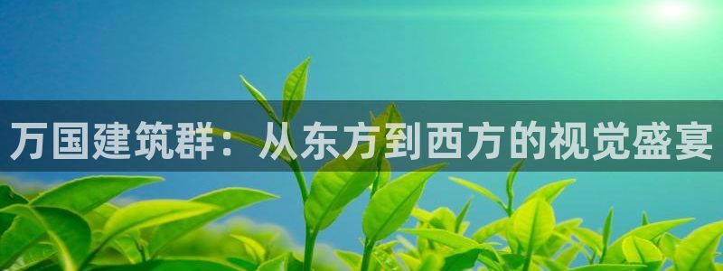 新航新客舱机上娱乐银