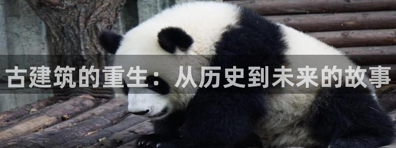 新航路开辟中的娱乐