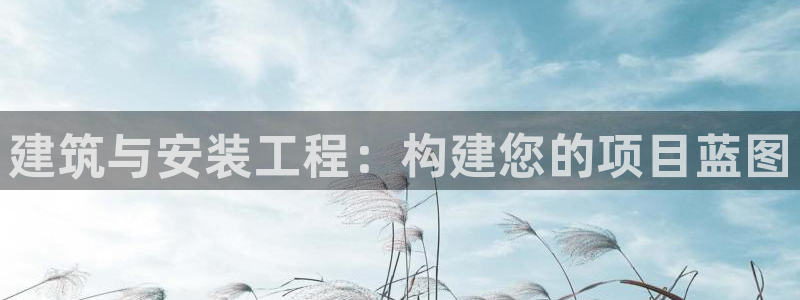 中国证券新航娱乐官网