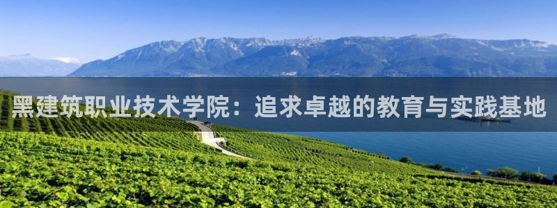 新航娱乐传媒招聘信息网